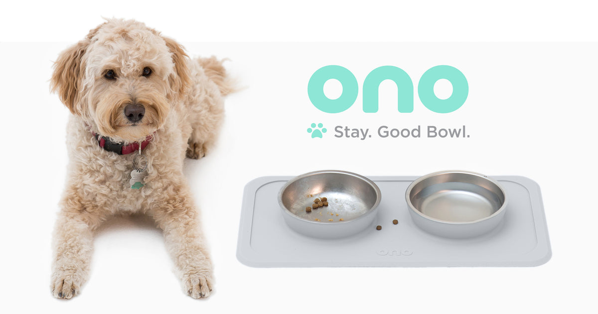 Slip Resistant Pet Bowls and Silicone Feeding Mat Set, Catch Water and Food  Mess, Raised Edges for No Spills, for Small and Large