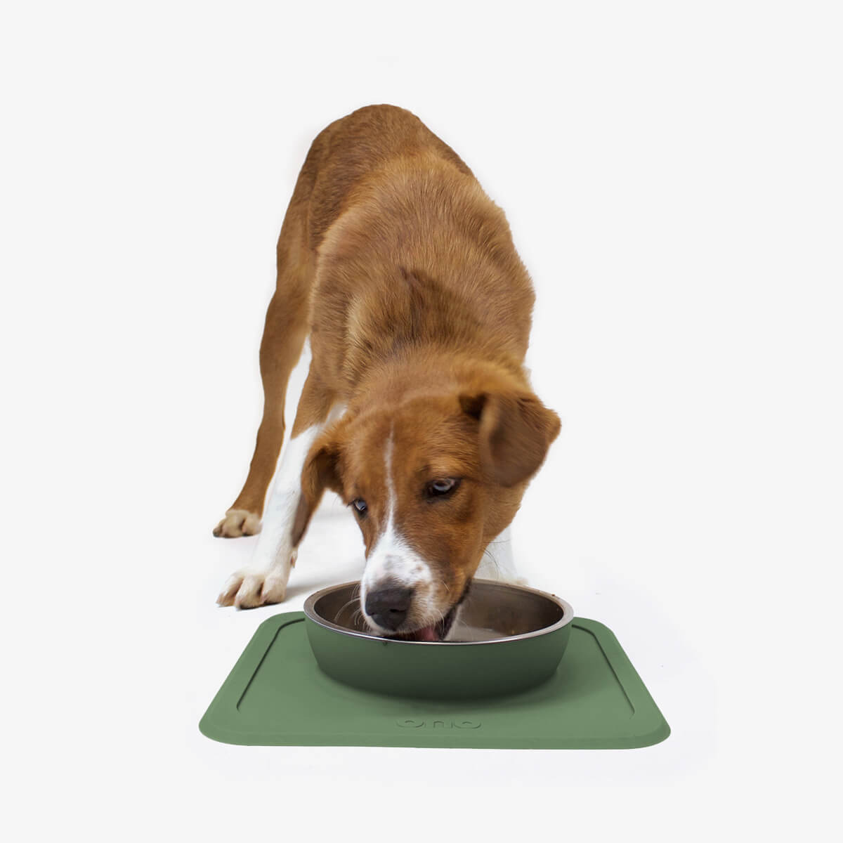 The Great Bowl (32 oz Single) in Olive by Ono Pet Products
