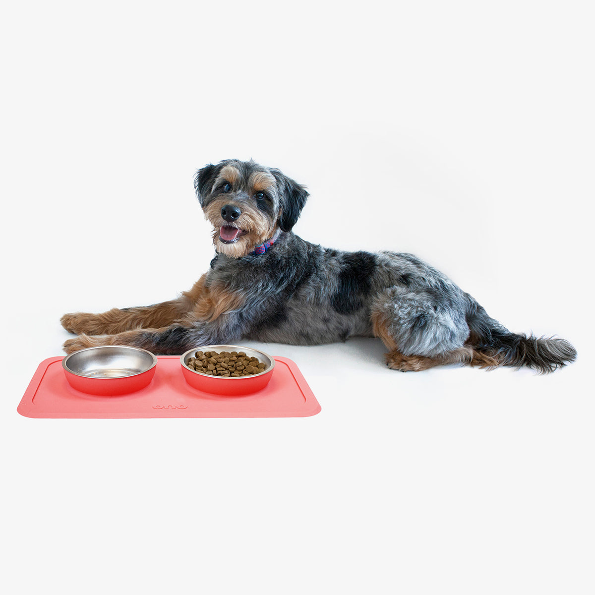 The Good Bowl (16 oz Double) in Coral by Ono Pet Products