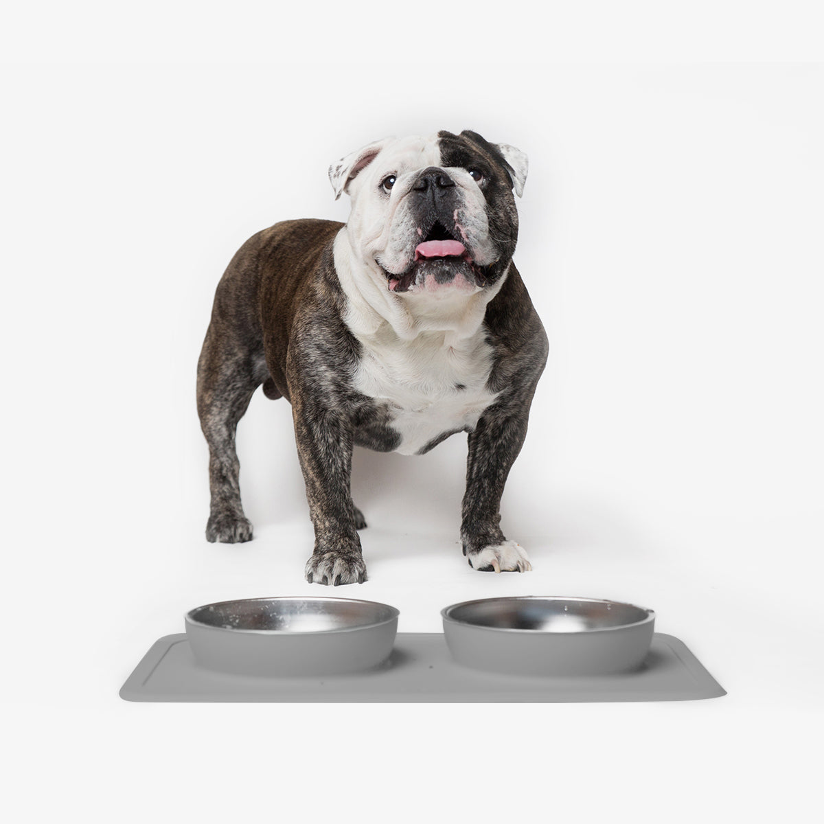 The Great Bowl (32 oz Double) in Charcoal by Ono Pet Products