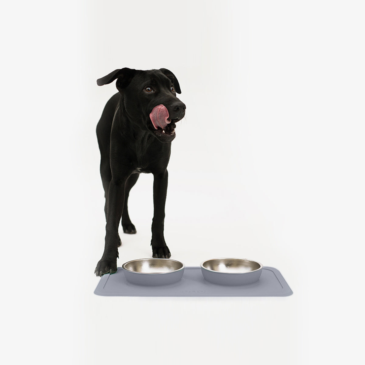 The Good Bowl (16 oz Double) in Charcoal by Ono Pet Products