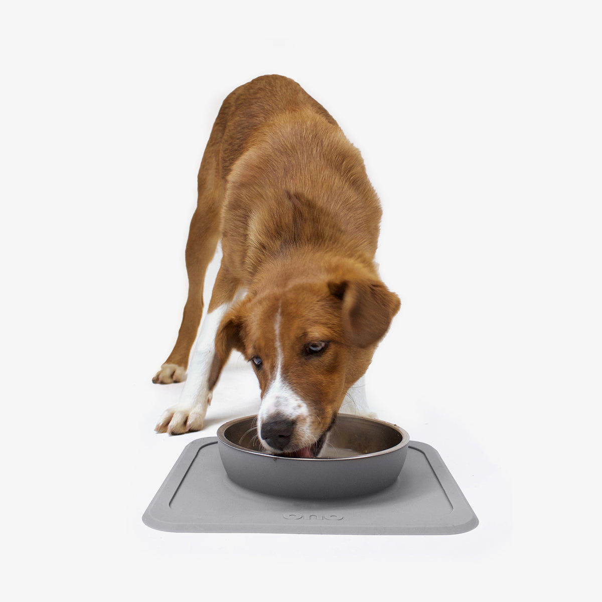 The Great Bowl (32 oz Single) in Charcoal by Ono Pet Products