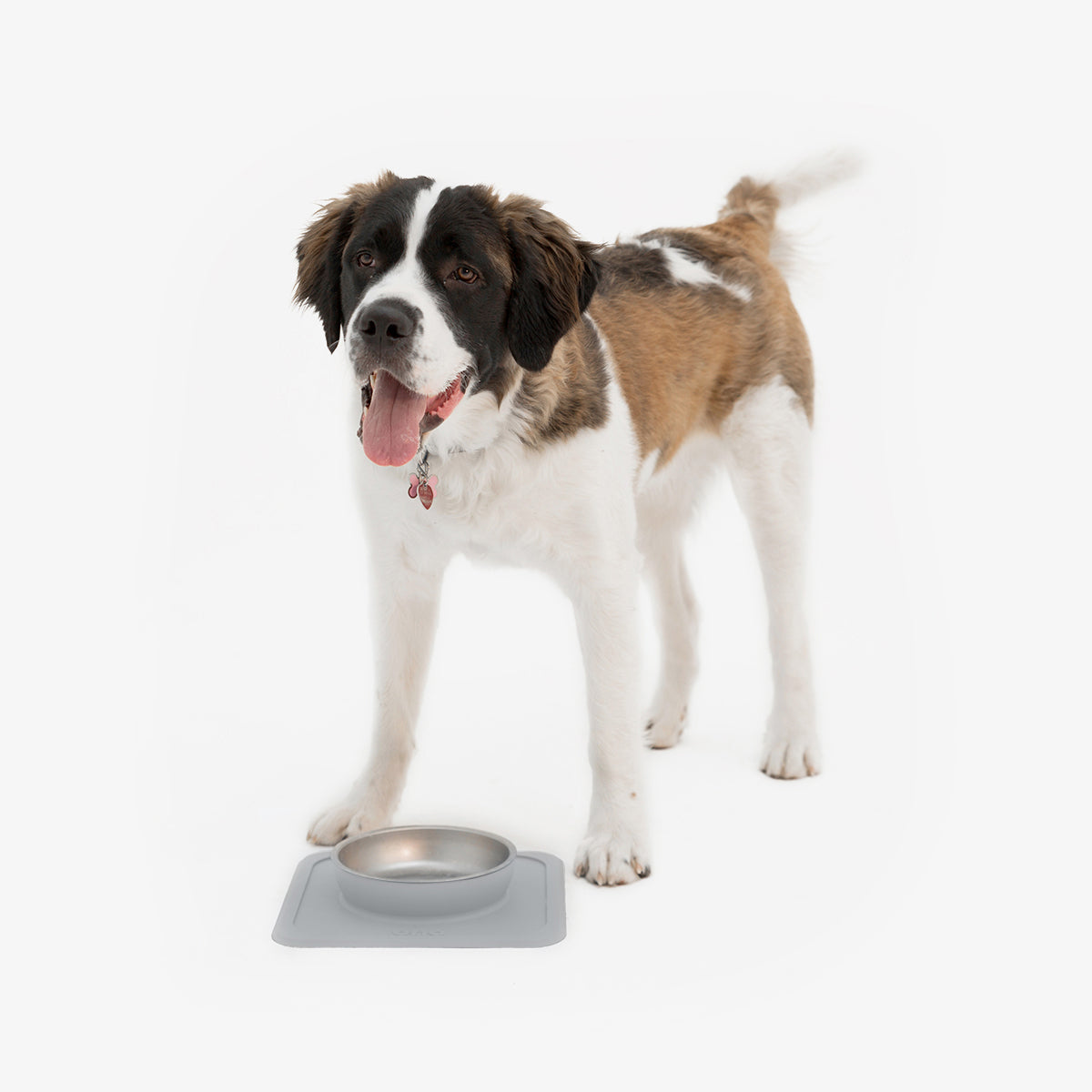The Great Bowl (32 oz Single) in Cool Gray by Ono Pet Products