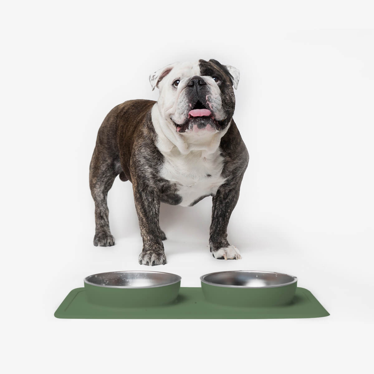 The Great Bowl (32 oz Double) in Olive by Ono Pet Products