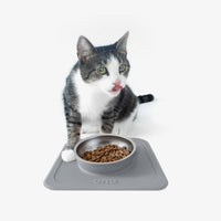 The Good Bowl (16 oz Single) in Charcoal by Ono Pet Products