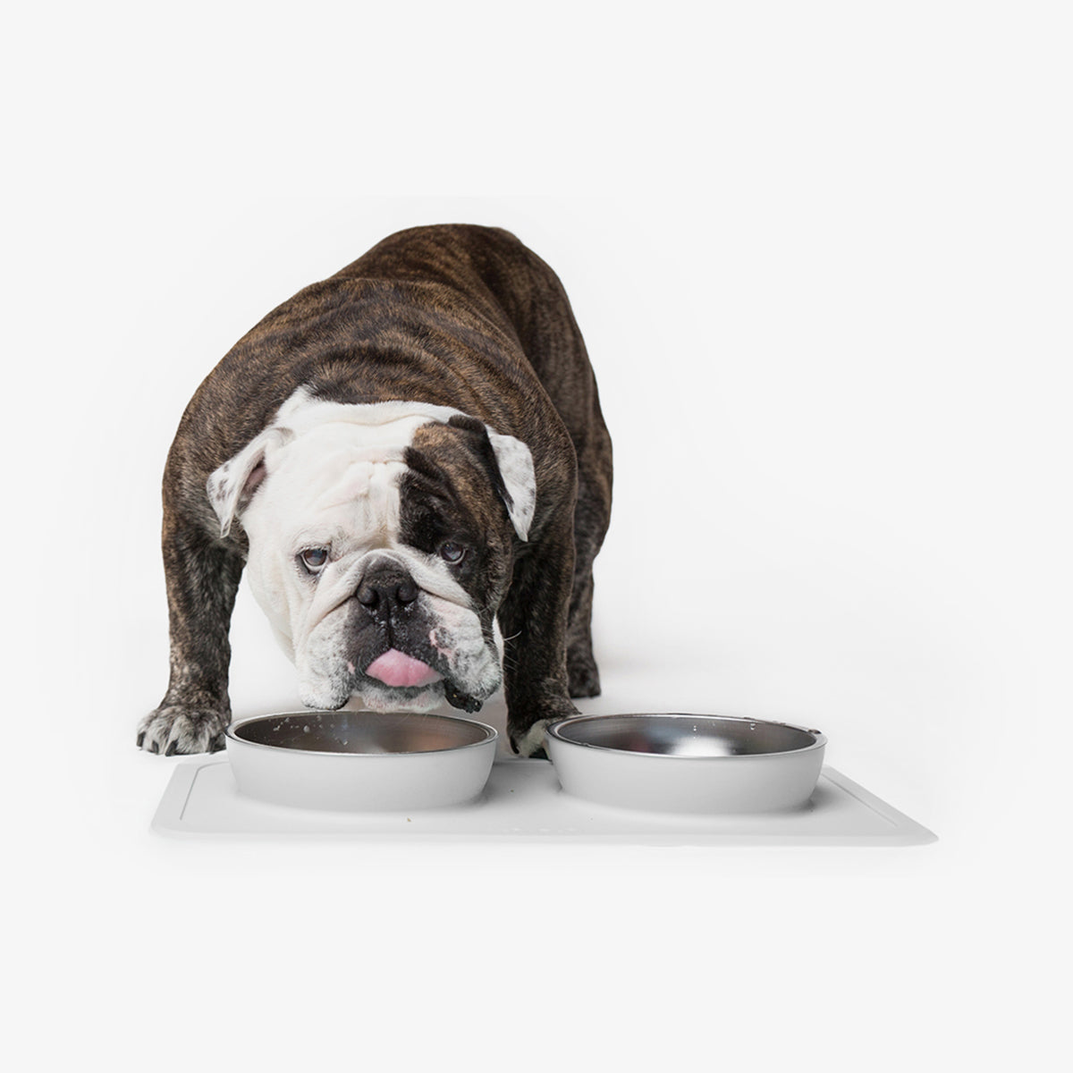 The Great Bowl (32 oz Double) in Cool Gray by Ono Pet Products