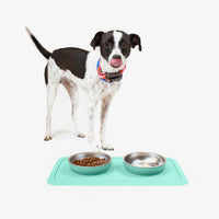 The Good Bowl (16 oz Double) in Mint by Ono Pet Products