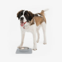 The Great Bowl (32 oz Single) in Cool Gray by Ono Pet Products