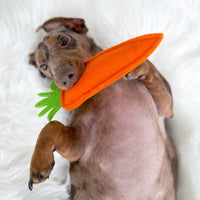 Puppy Carrot - Ono